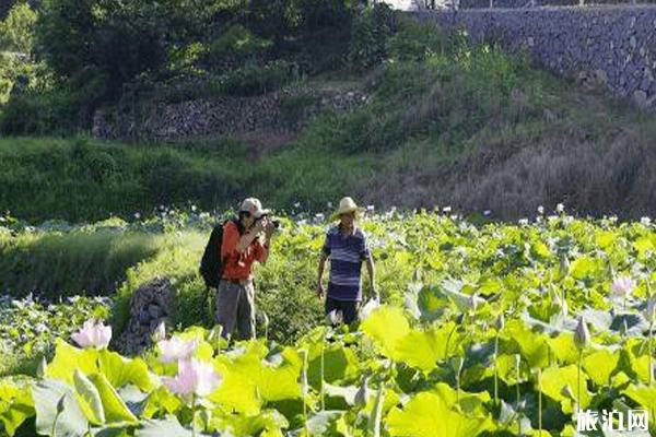 杭州避暑胜地有哪些