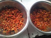 水煮泥鳅的做法步骤5