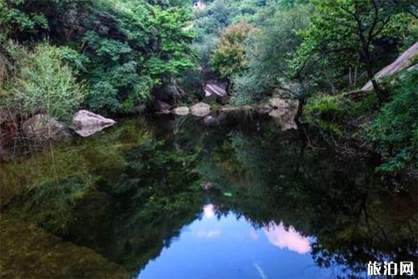 栾川蝴蝶谷景区门票多少钱 有哪些景点