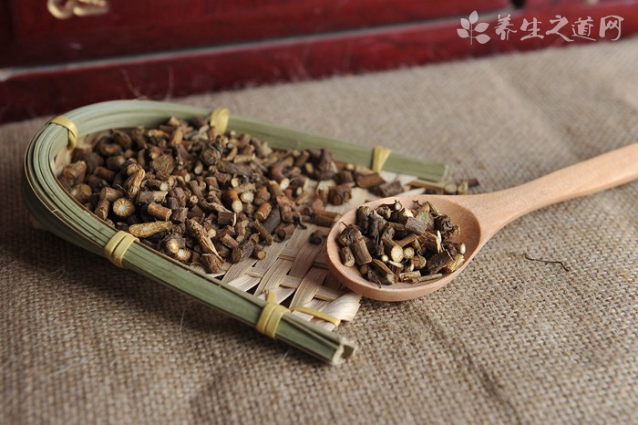 养肝明目茶