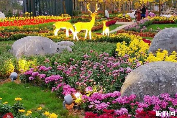 2019内乡菊花展什么时间+地点 2019内乡菊花展活动安排