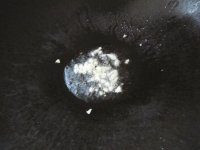 清炒芥兰的做法步骤4