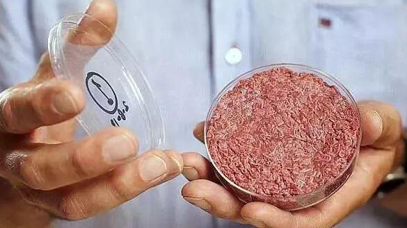 哈佛造出人造兔肉和牛肉是什么情况 人造兔肉是用什么做的