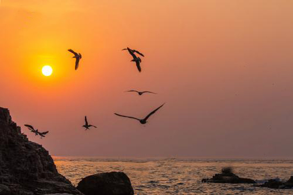 海驴岛好玩吗 海驴岛路线推荐