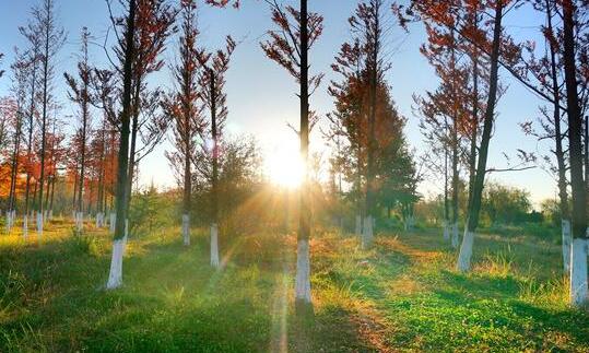 昆明发布了4月空气质量综合报告 上月全市空气日均值优良率为100%
