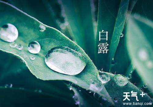 今年白露是什么时候，白露是什么意思