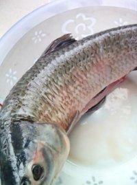 红焖腌鱼的做法步骤1