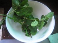 柠檬薄荷饮的做法步骤4