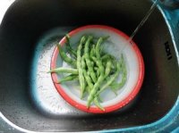 酱拌油焖四季豆的做法步骤1