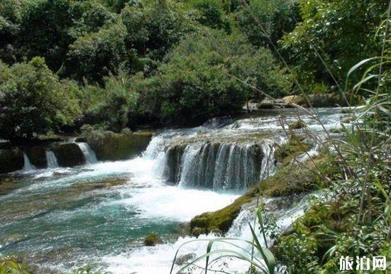 荔波旅游攻略景点必去有哪些