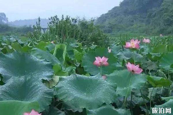 茶陵八景是哪些 茶陵八景是哪些