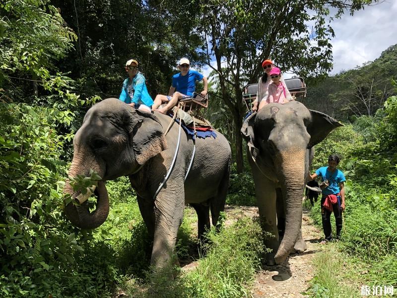 甲米岛三日游攻略 甲米岛三日游攻略