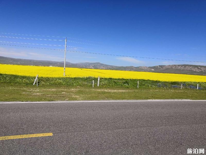 青海旅游攻略及路线