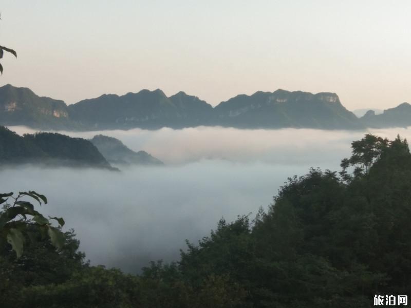 张家界三日游攻略最新