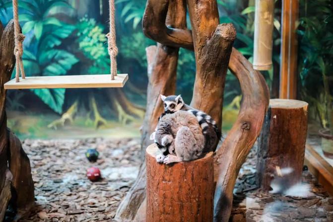 西宁童梦乐园在哪 西宁童梦乐园游玩攻略 西宁童梦乐园在哪 西宁童梦乐园游玩攻略