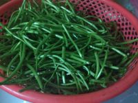 藜蒿炒香肠的做法步骤2