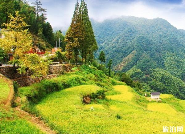 杭州适合秋游的地方 杭州适合秋天玩的景点