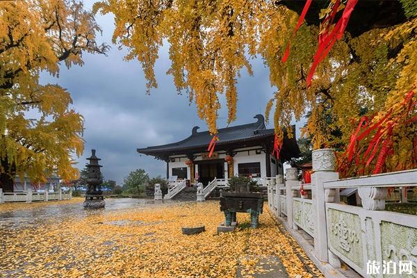 2019南京惠济寺1600年庆典时间+地点+活动安排 2019南京惠济寺1600年庆典报名入口