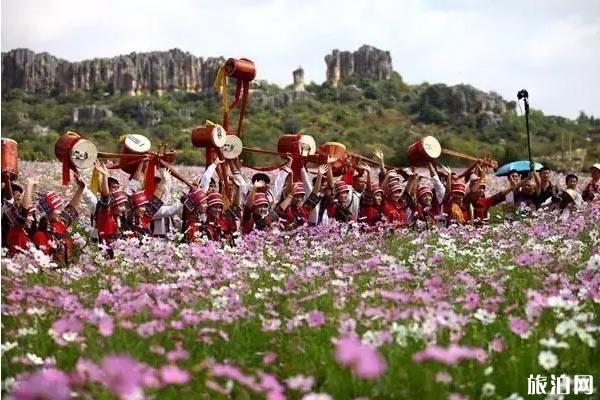 昆明哪里菊花最好看 昆明哪里菊花最好看