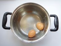 小鸡出壳豆芽菜的做法步骤2