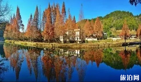 福建龙栖山有着怎样的风景