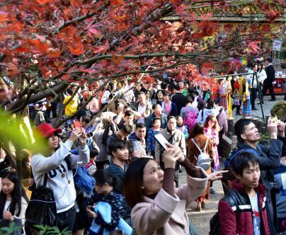 美美美！长沙岳麓山枫叶迎观赏期 游客扎堆