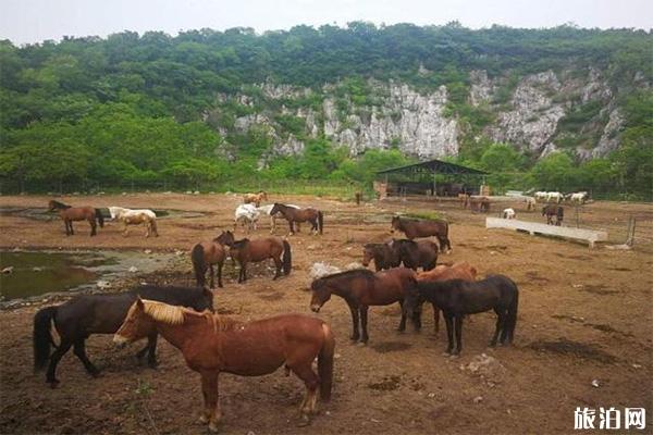 苏州太湖牛仔风情度假村好玩吗 附游玩项目