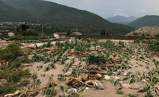 冕宁特大暴雨一家5口全部遇难 房屋被洪水冲垮现场一片狼藉