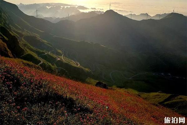 韭菜坪旅游景区免费游玩吗 自驾+停车收费+路况2019 韭菜坪旅游景区免费游玩吗 自驾+停车收费+路况2019