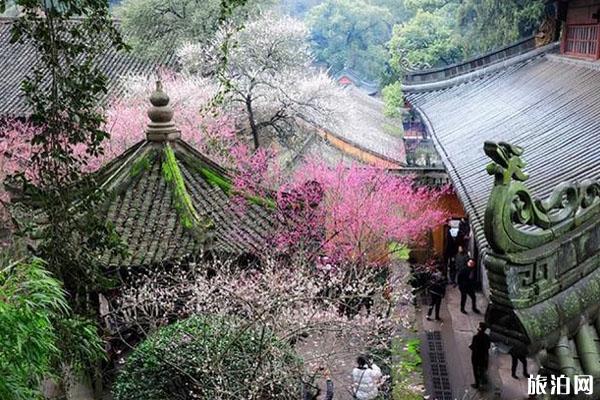 浙江有名的佛寺 浙江五大佛寺
