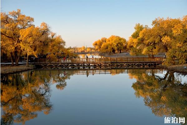 额济纳旗旅游注意事项