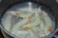 鲜虾蒜蓉粉丝的做法步骤2