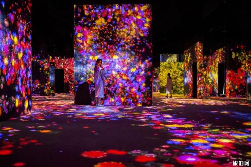 2019上海TeamLab无界美术馆开放时间+参观须知 2019上海TeamLab无界美术馆开放时间+参观须知