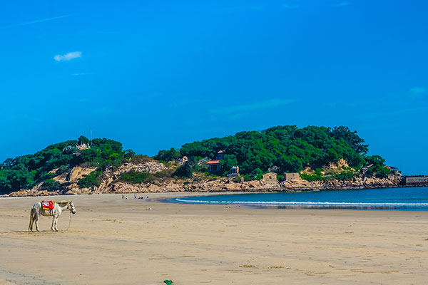 漳州东山岛值得一游吗 漳州东山岛好玩吗