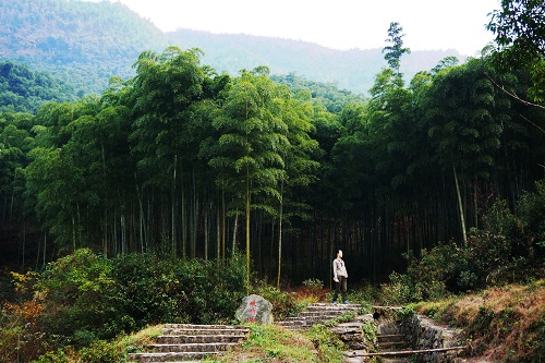 安吉旅游景点有哪些