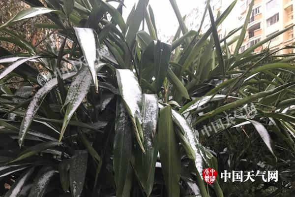 云南低温雨雪扰春运53车相撞 昆明等地明起大幅升温