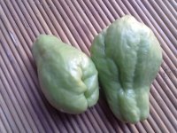 木耳肉片炒佛手的做法步骤1