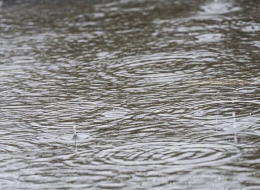 浙江高考第3日南部仍有暴雨 今明雨势较强考生出行注意
