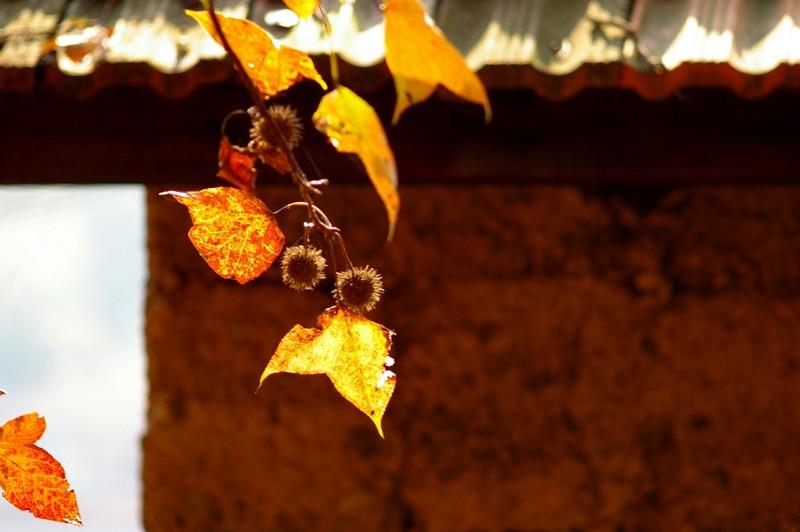 中秋节杭州周边旅游景点推荐 中秋节杭州周边旅游景点推荐