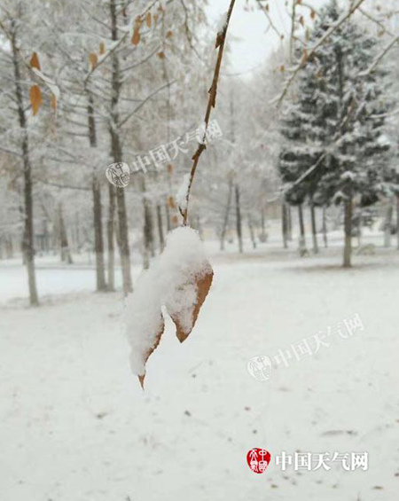 0810135558DC18F3685C1735408574A4CD92FABA_副本.jpg