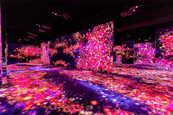 广州teamlab展览门票多少钱 广州teamlab展览门票多少钱