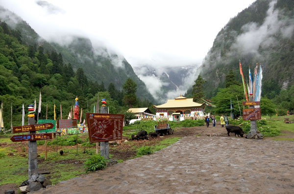 雨崩徒步路线危险吗 雨崩徒步经典路线