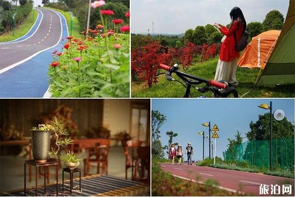 常州自驾游线路推荐 最美8条自驾游线路推荐 常州自驾游线路推荐 最美8条自驾游线路推荐