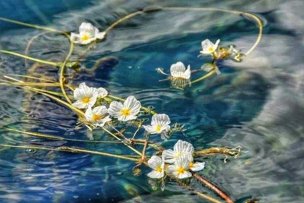 五月去泸沽湖好玩吗 五月去泸沽湖玩怎么样