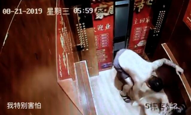 博主宇芽被家暴是怎么回事 家暴博主宇芽的男人是谁