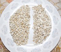 山药薏米芡实粥的做法步骤1