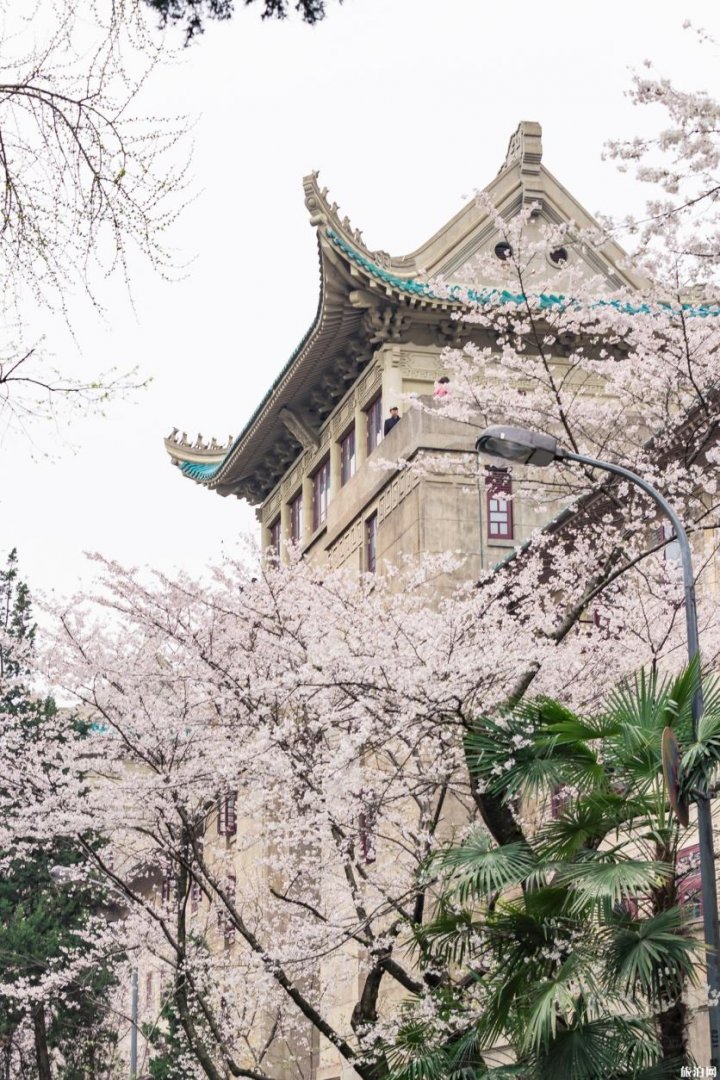 武汉大学有哪些建筑值得一看