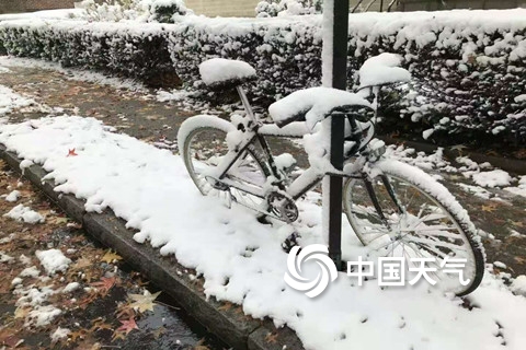 黑龙江入冬以来最强雨雪来袭！ 气象局多部门启动重大气象灾害Ⅳ级应急响应