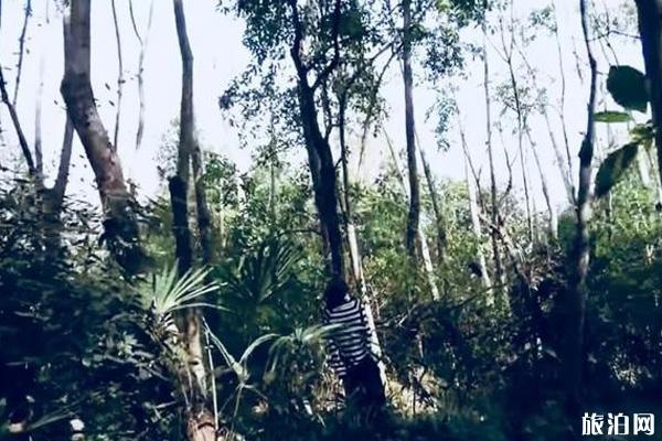 世界最恐怖旅游景点整理