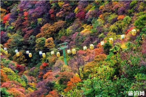 2019年尧山红叶节时间+门票+地址+活动介绍